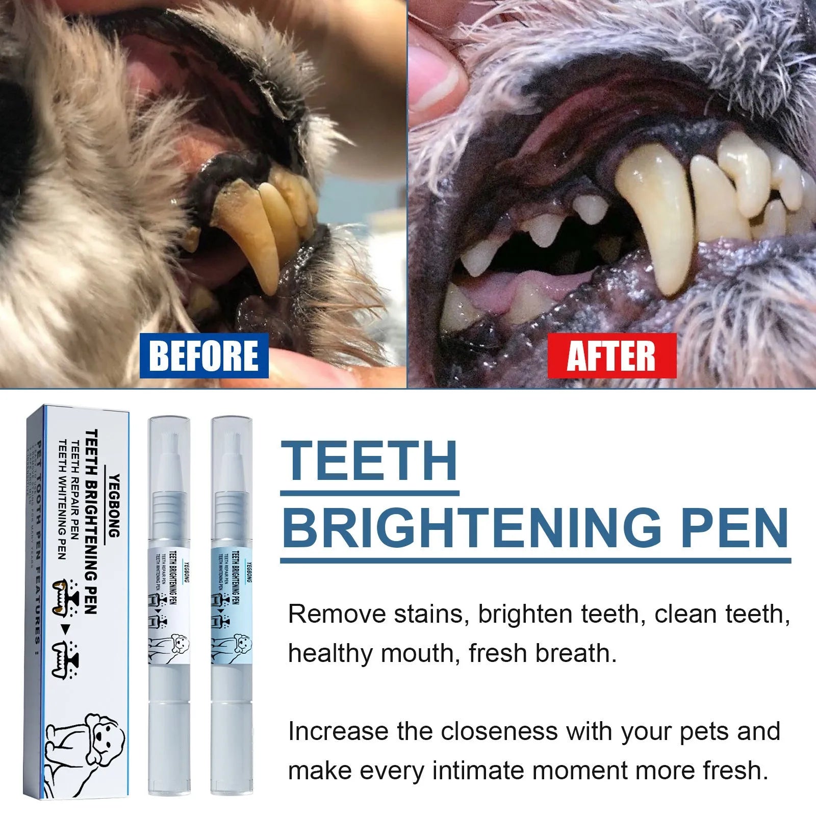 White pet teeth whitening pen kit with two 3ml applicators and dental brushes for dog and cat dental care
