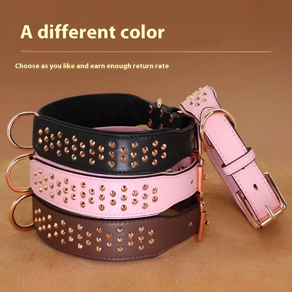 Leather dog collar with rivet construction in black colour showing anti-bite design