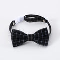 Pet doctor's degree hair band and bow tie costume set for small cats and dogs