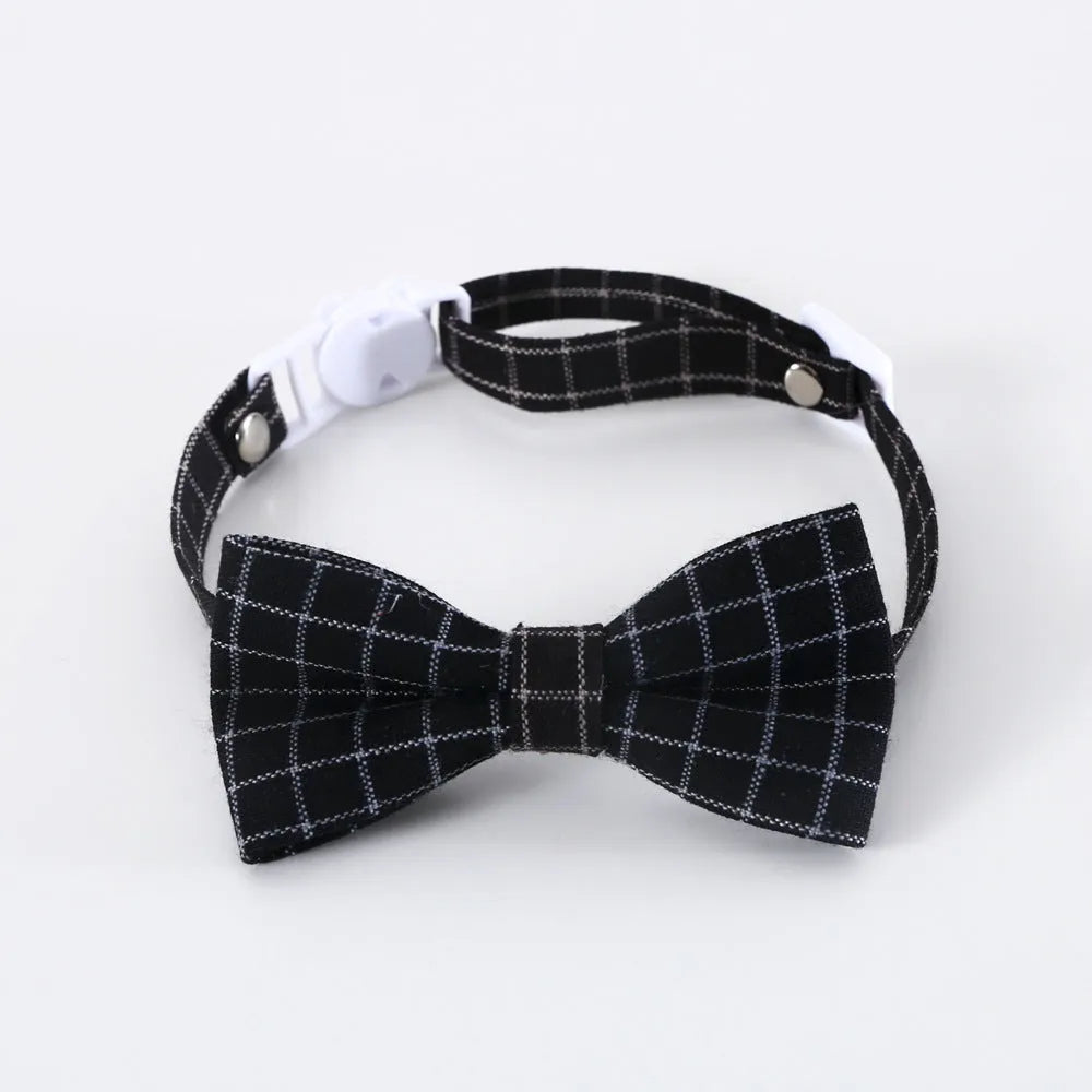 Pet doctor's degree hair band and bow tie costume set for small cats and dogs