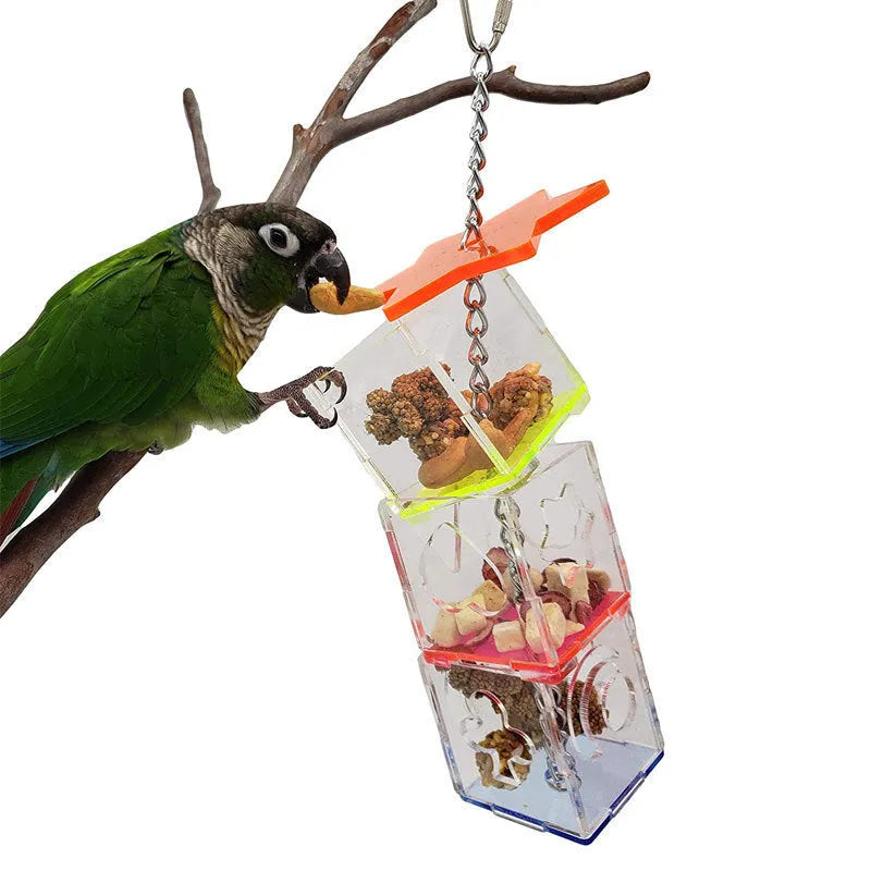 Clear acrylic parrot foraging toy measuring 32 cm tall for holding bird food.