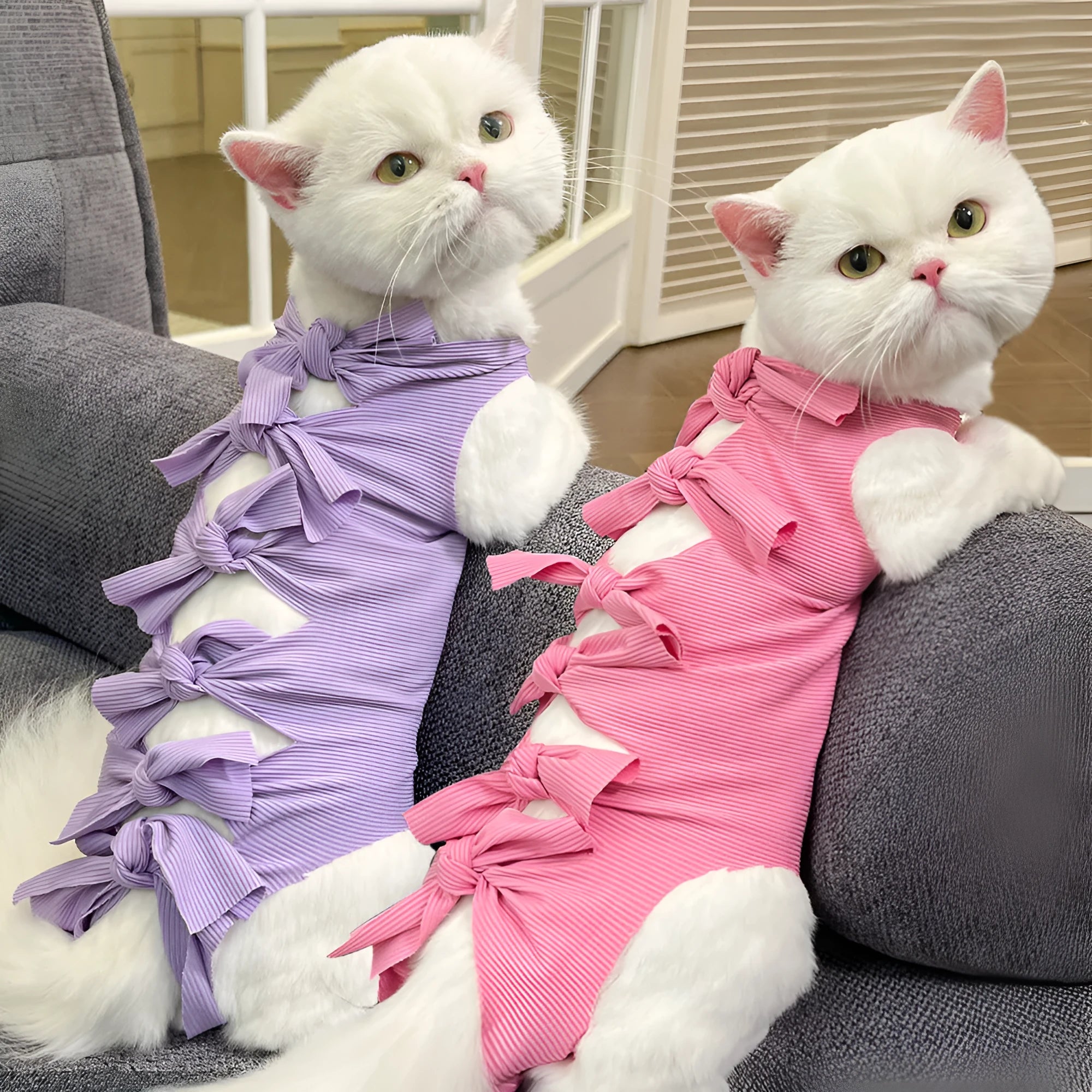 Lace-up cat sterilisation recovery clothing in polyester with adjustable closure