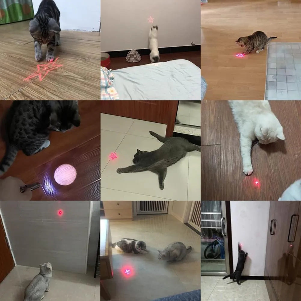 Pink or black USB rechargeable infrared cat teaser keychain with compact plastic housing