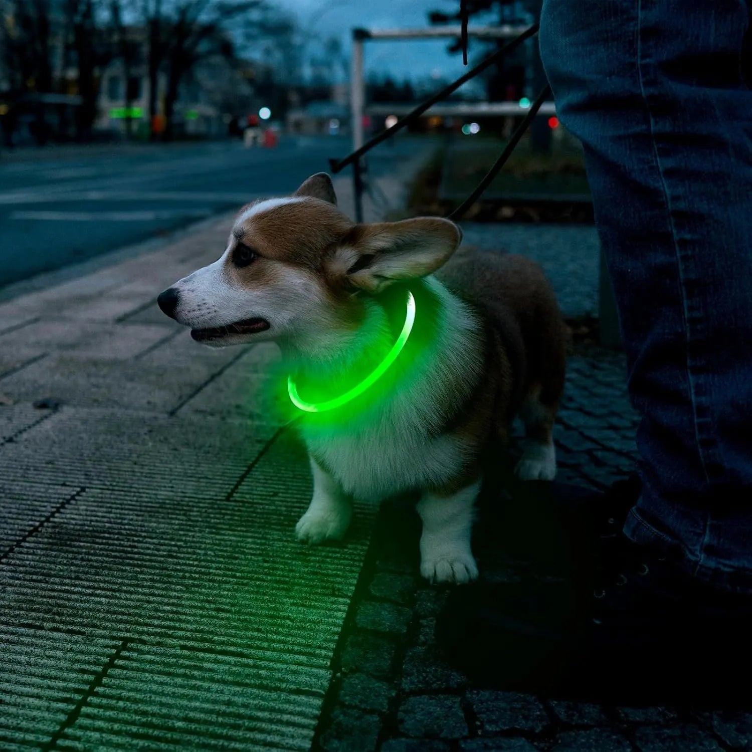 USB rechargeable LED dog collar with glowing light in blue colour, adjustable 70cm length