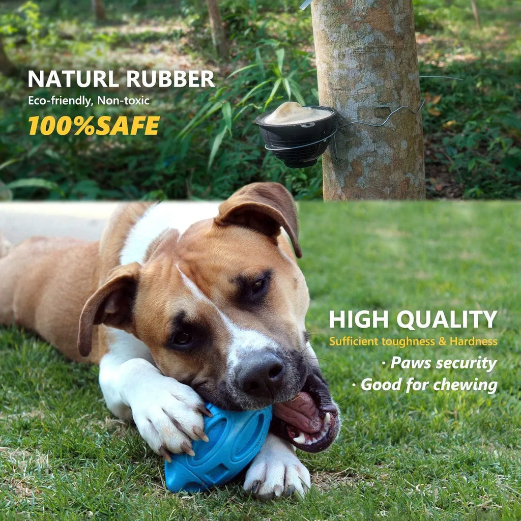 Blue, green, and orange natural rubber squeaky dog chew ball for aggressive chewers.