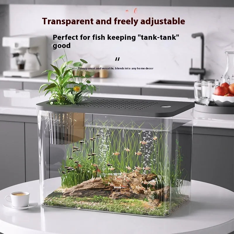 Mini plastic betta fish tank in black or white colour measuring 32x18.5x23cm