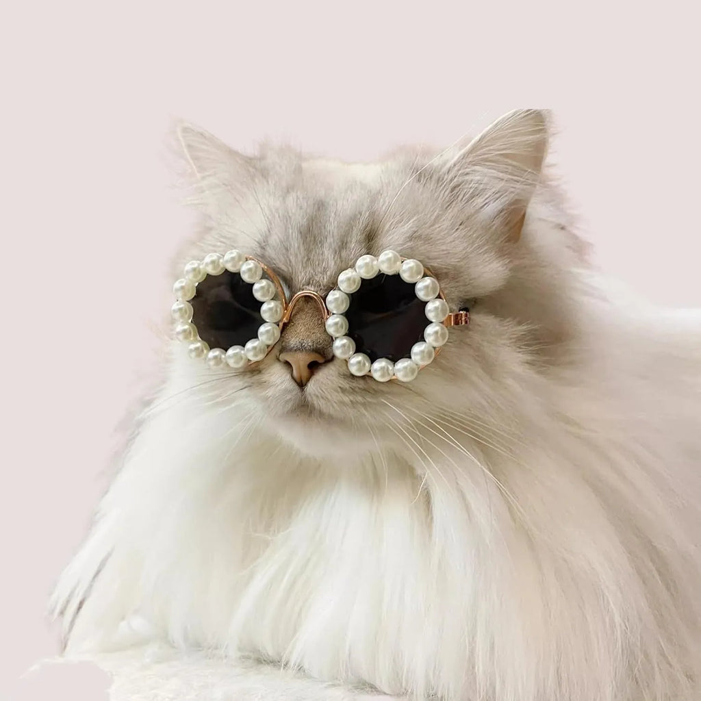 Pearl-rimmed round sunglasses for pets in blue, black, coffee, orange and purple colours