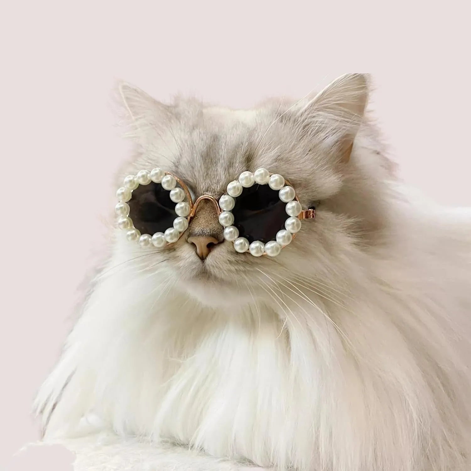Pearl-rimmed round sunglasses for pets in blue, black, coffee, orange and purple colours