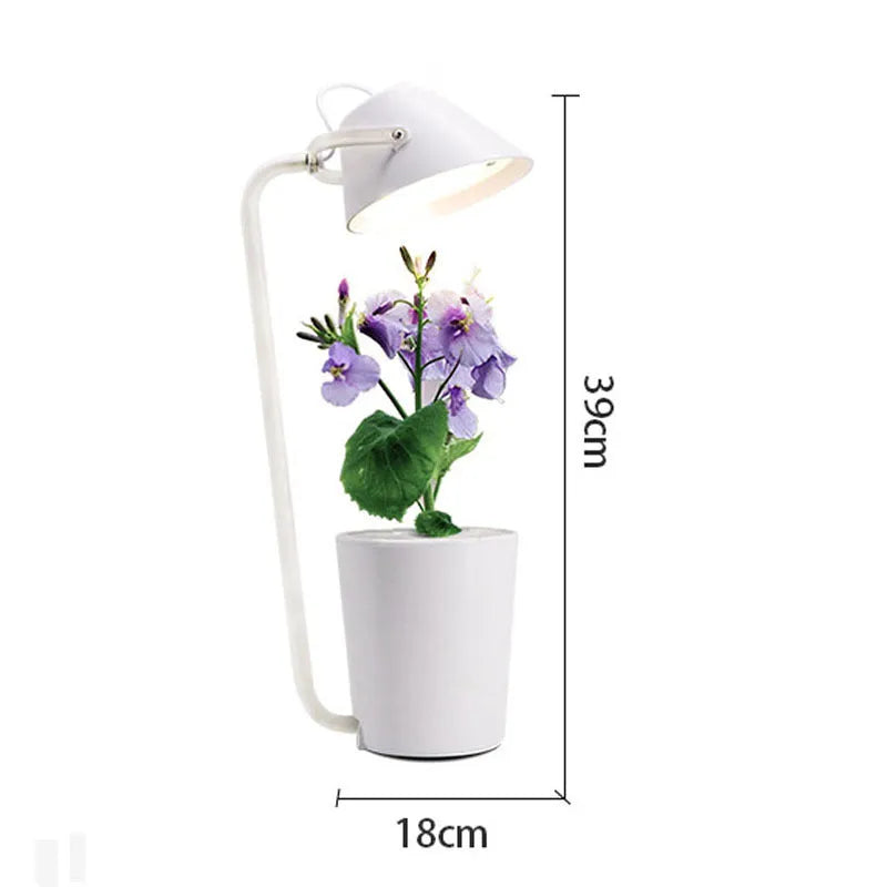 White plastic desktop hydroponic container for soilless plant growth