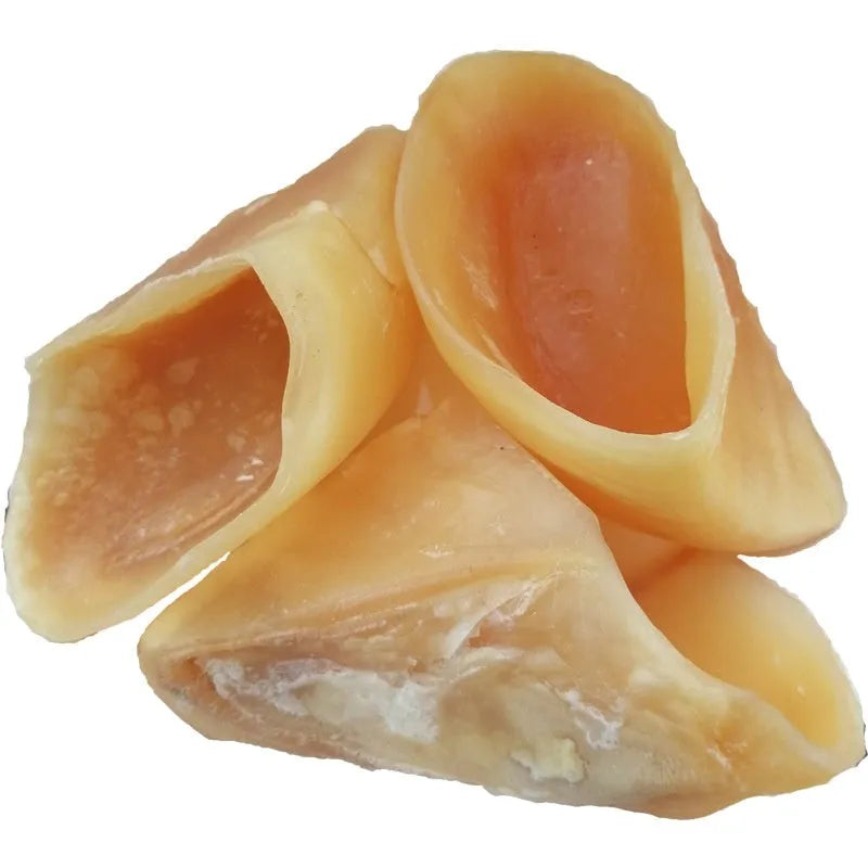 Natural cowhide dog chew treat in cow hoof shell colour showing small and large size options