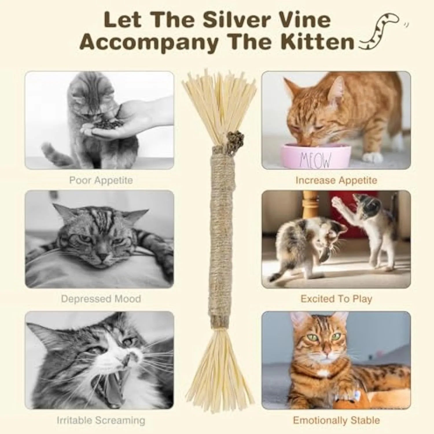 3-pack of natural silvervine chew sticks for cats on a wooden surface