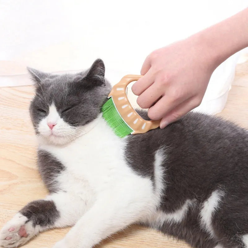 Shell-shaped plastic pet grooming brush with bent wire bristles and anti-slip handle