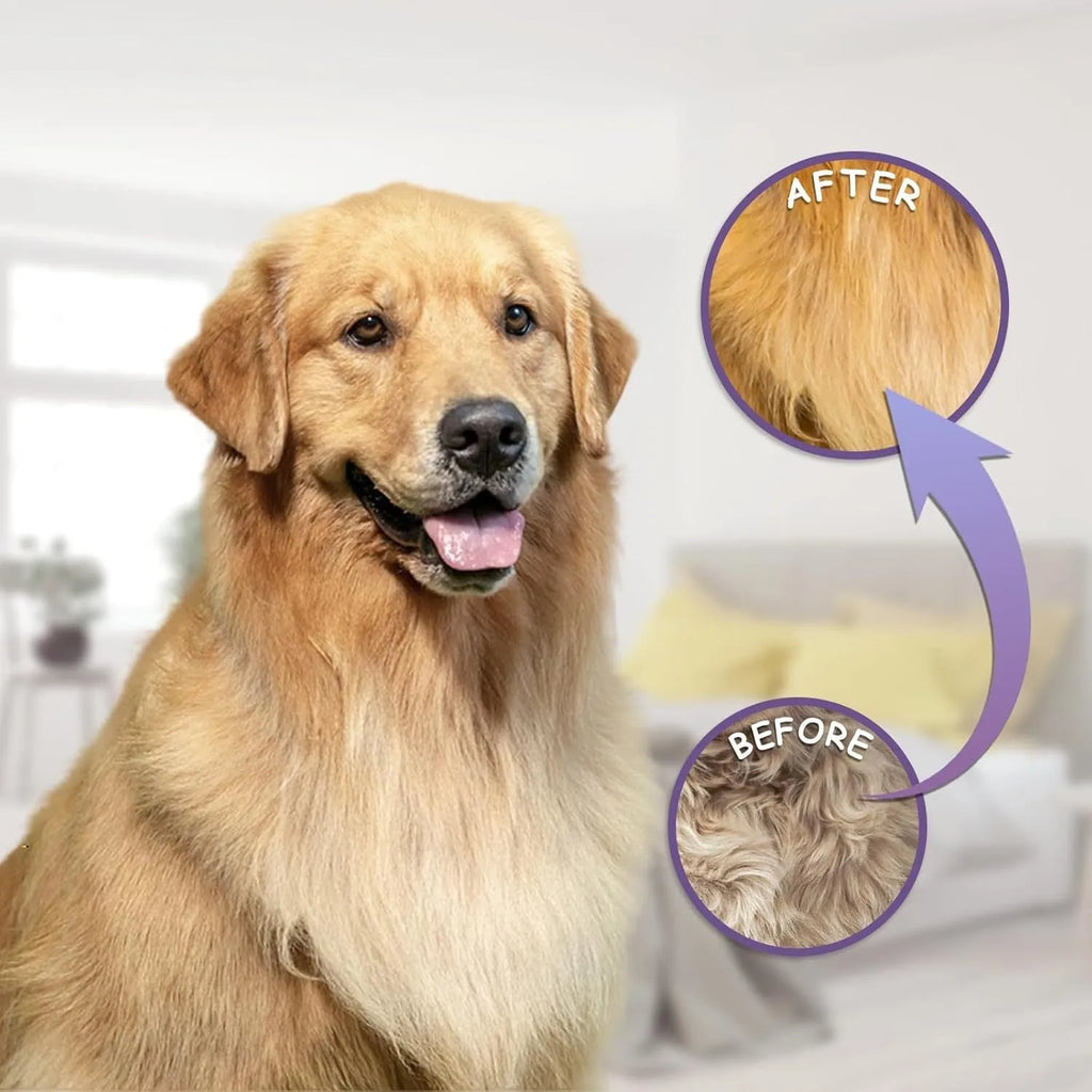 Purple pet detangling comb with stainless steel teeth shown on a dark background