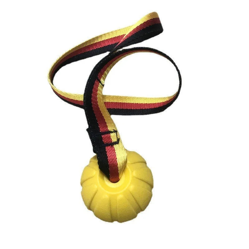 Floating EVA foam dog training ball in camouflage and yellow colours showing three size options