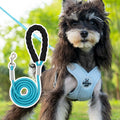 Dog walking vest with attached hand-holding rope in blue, green, pink or yellow colours