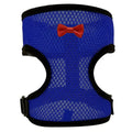 Poultry harness set featuring a red chicken vest, matching collar with bow, belly belt, and a long traction rope on a table.