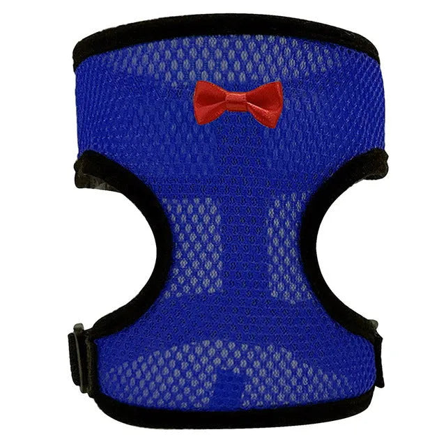 Poultry harness set featuring a red chicken vest, matching collar with bow, belly belt, and a long traction rope on a table.