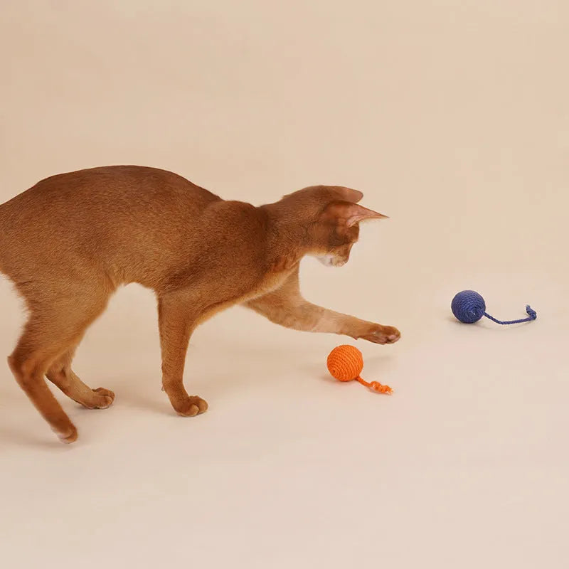 Cat teaser stick toy with catnip ball attachment, 255mm long with feather end.