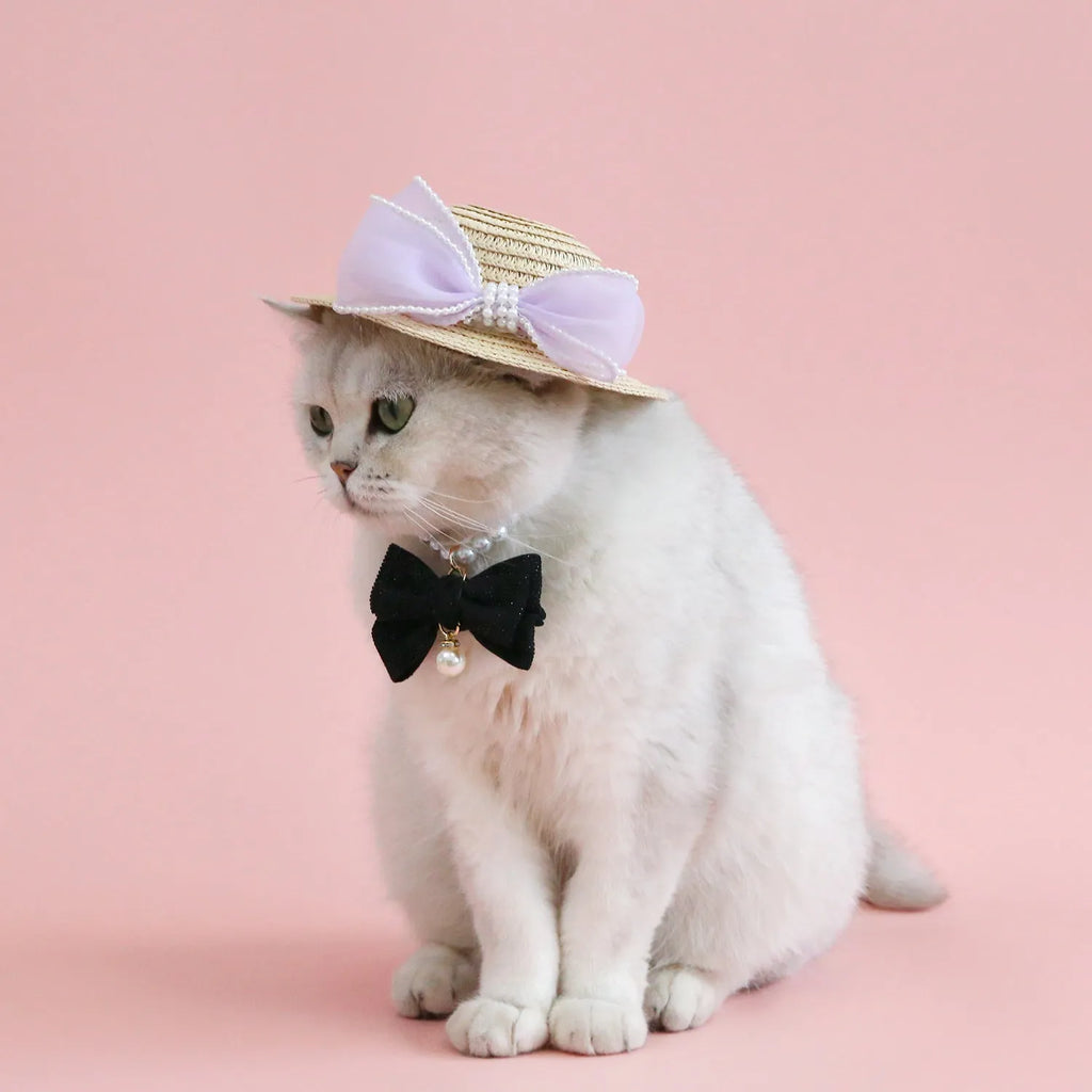 Woven Lafite leaves straw hat with pearl bow on a cat, showing pink pearl colour option in S 13cm size.