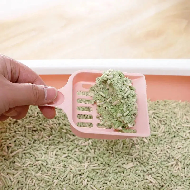 Blue plastic cat litter scoop on a white background, showing its size and sifting holes.