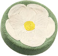 Green round sisal cat scratcher bowl lounge bed measuring 39cm diameter
