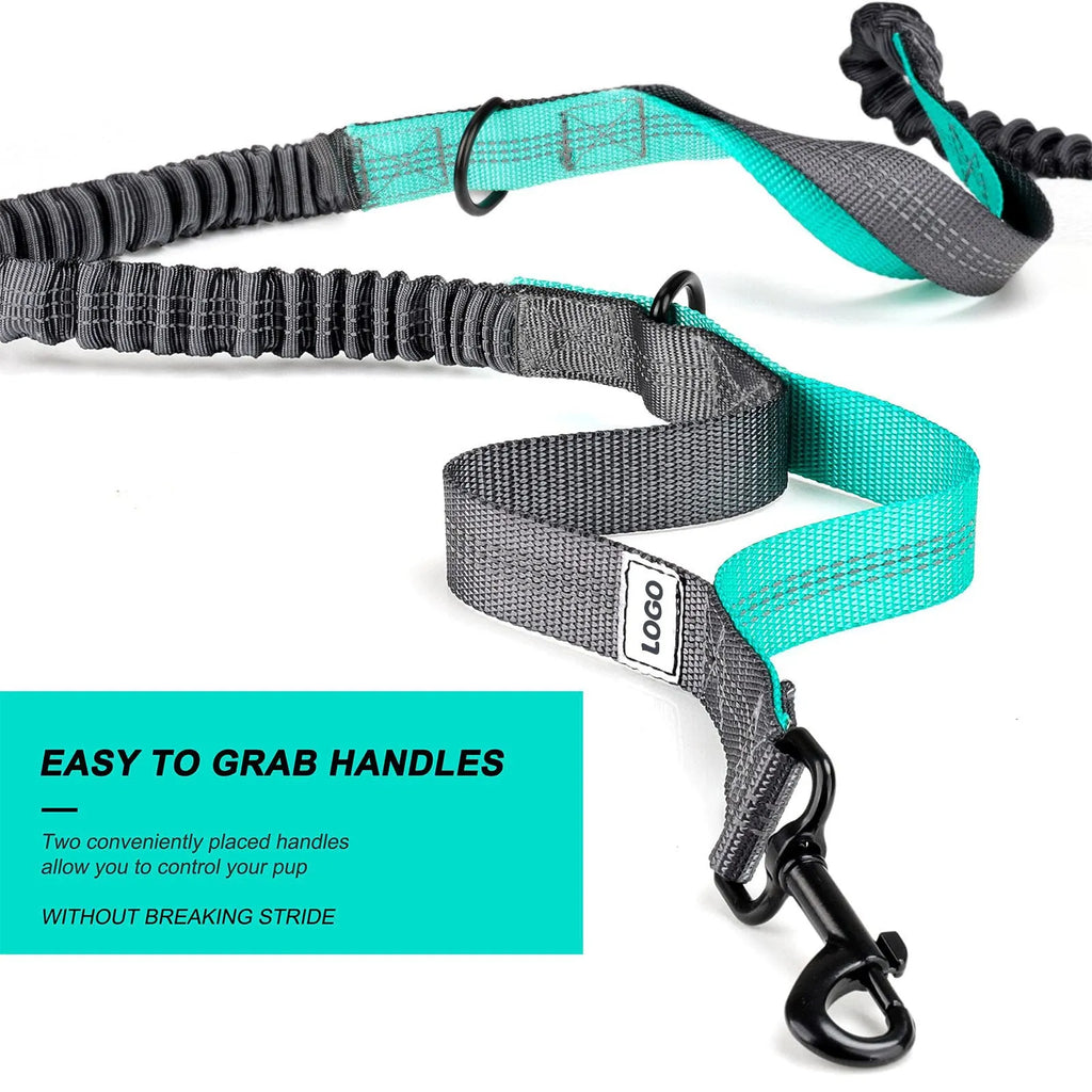 Black nylon outdoor dog walking waist bag and leash set for hands-free pet training