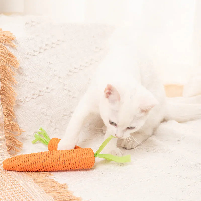 Set of cat toys including carrot shapes, crinkly paper balls, ringing stones, and dental grinding sticks in two sizes.