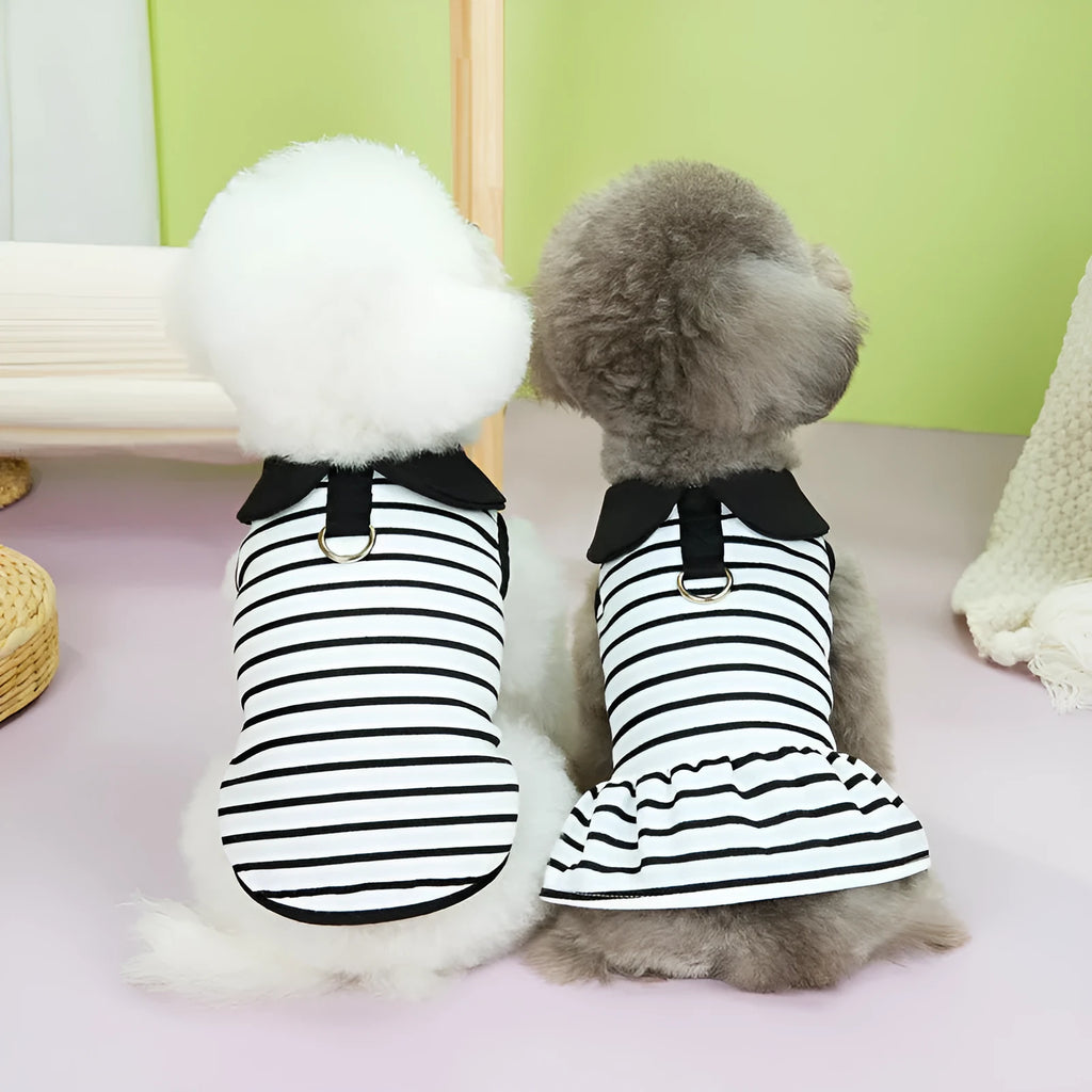 Matching cotton t-shirt and stripe skirt pet clothing set for dogs and cats in summer