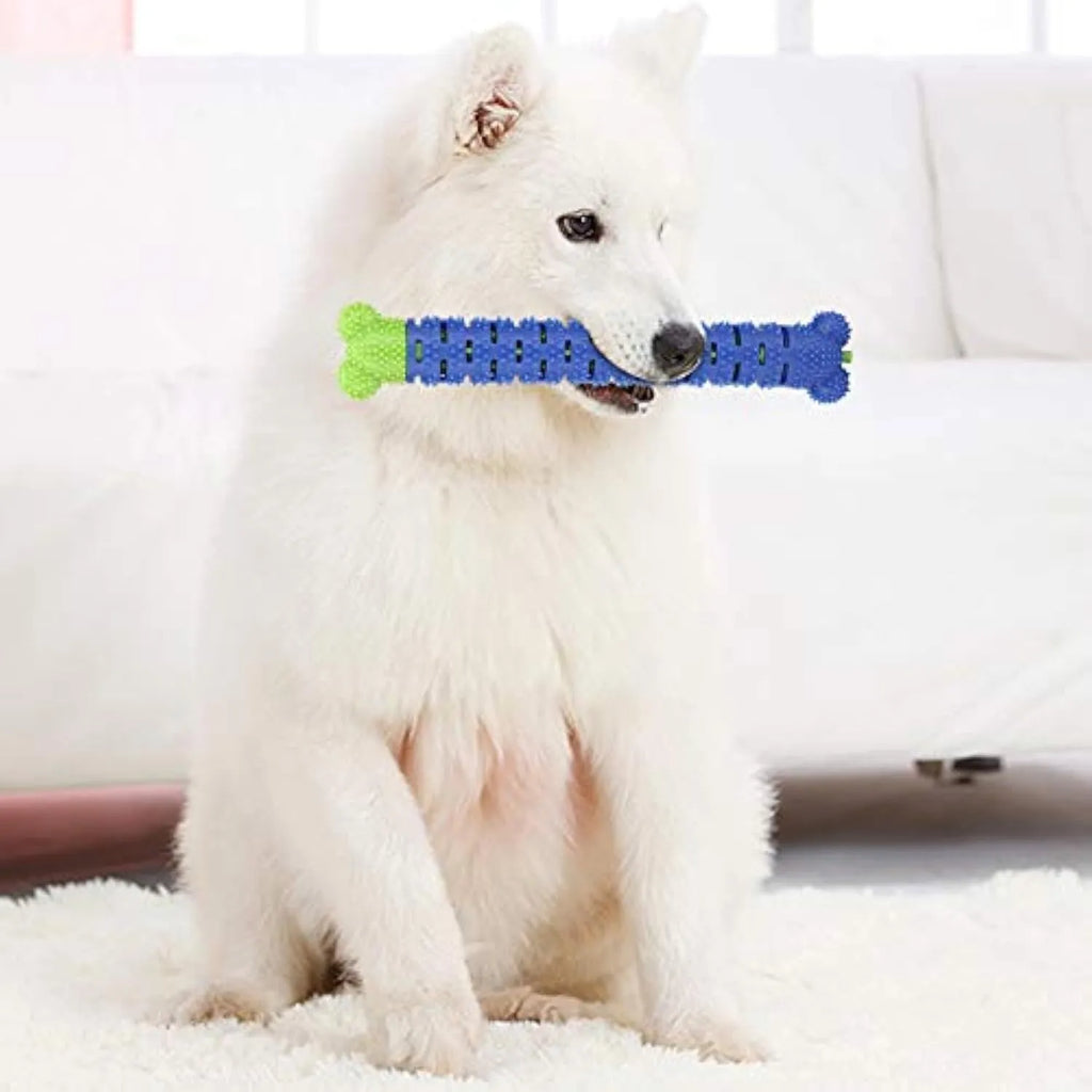 Blue and green silicone dog molar tooth cleaner chewing stick with textured brush head, 25cm long