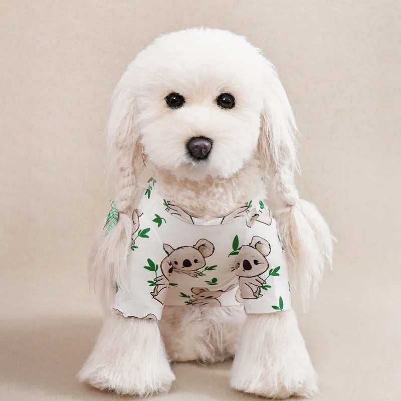 Colourful printed polyester t-shirt on a small dog, showing casual spring and autumn pet clothing.