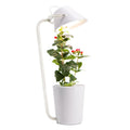 White plastic desktop hydroponic container for soilless plant growth