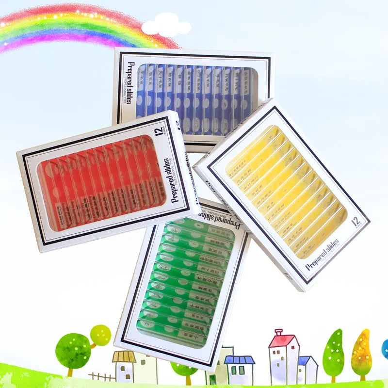 48 plastic microscope slides in red, green, yellow, and blue colours for children's biological observation