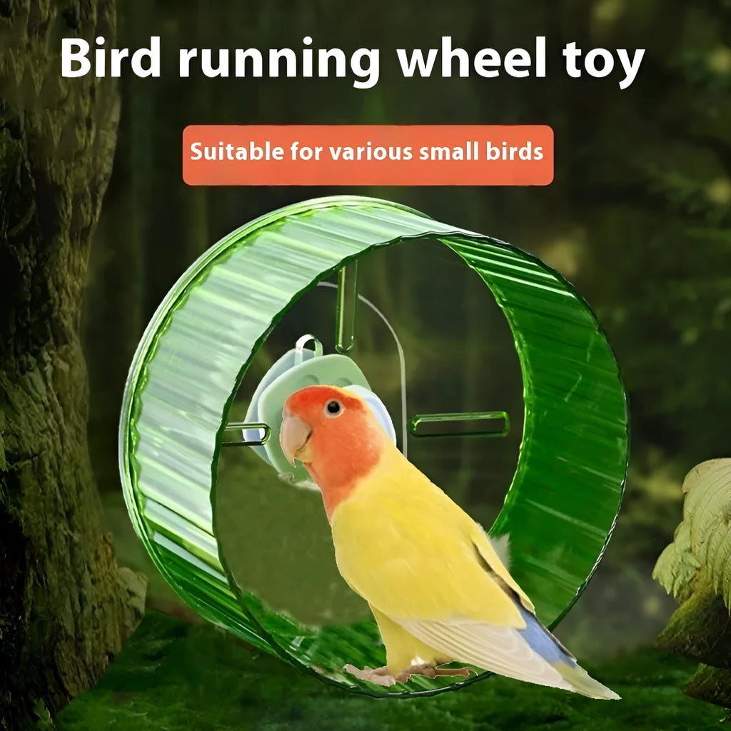 Parrot running wheel toy in plastic construction showing available colours and sizes
