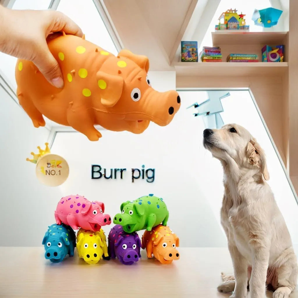Blue latex squeaky pig dog chew toy measuring 20x10cm with textured surface