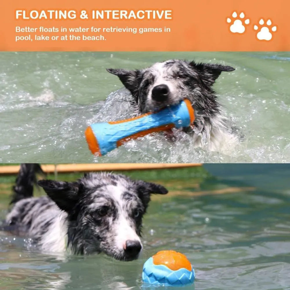 TPR dog toy set with ball, barbell, and tires floating in water