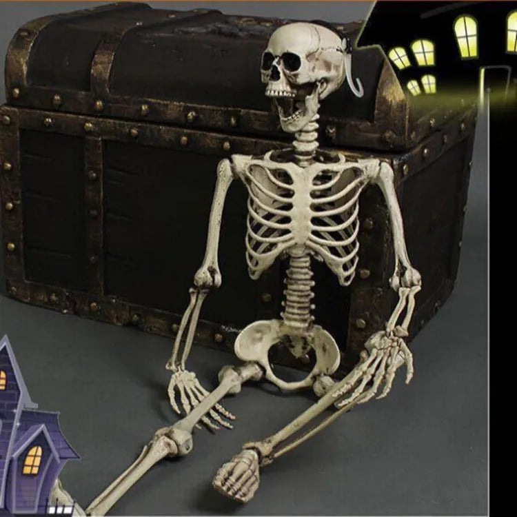 170cm tall plastic skeleton prop with detailed skull and complete bone structure