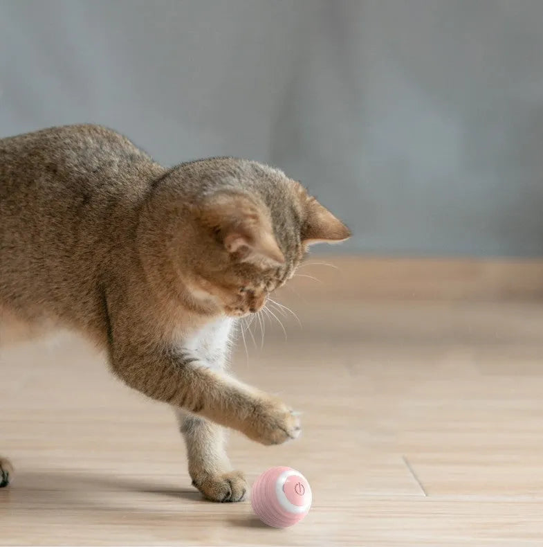 Blue automatic moving cat toy ball with charging cable for indoor feline entertainment