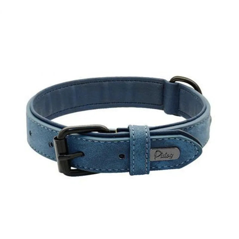 Adjustable dog collar in purple with double-layer thickened construction and buckle fastener
