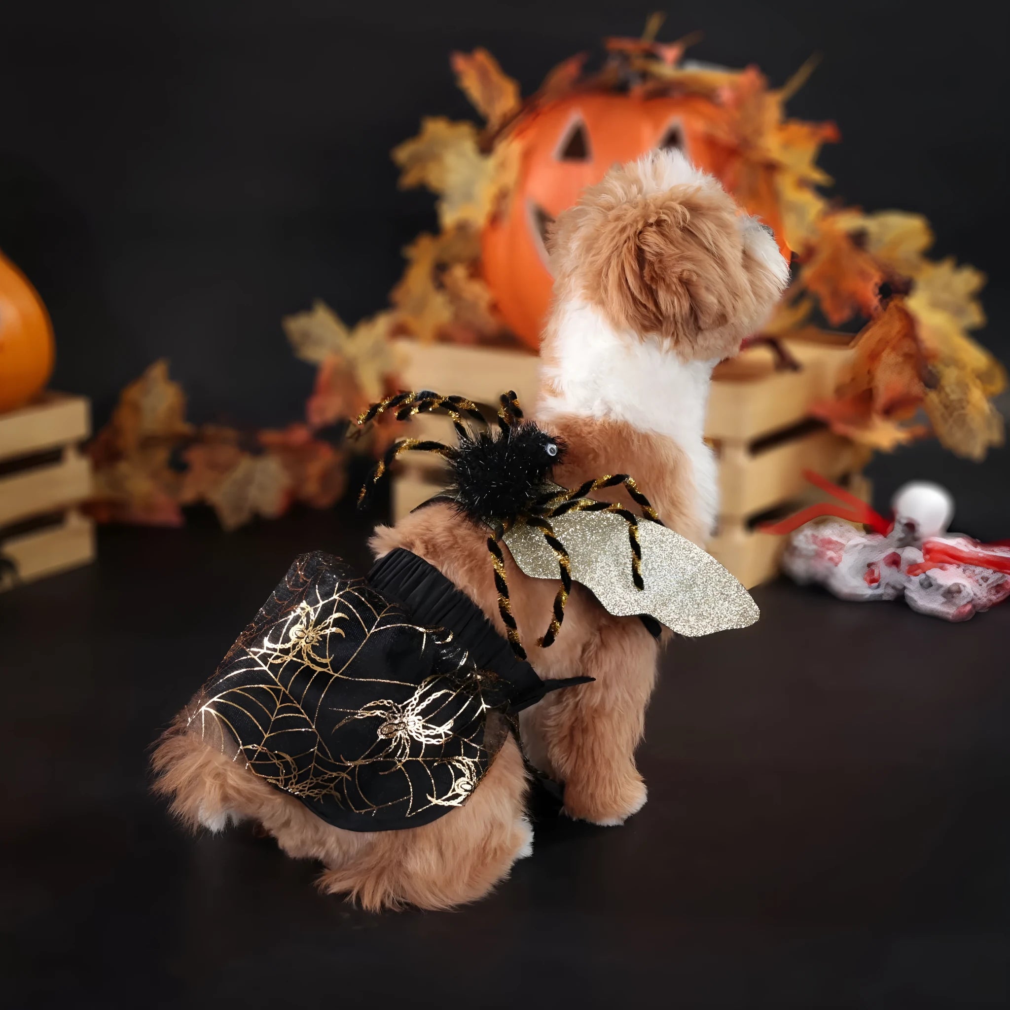 Halloween dog suit costume in colourful design with polyester material