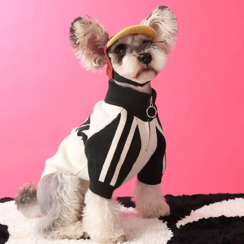 Red wool dog sports sweater cardigan shown on medium-sized dog with casual fit