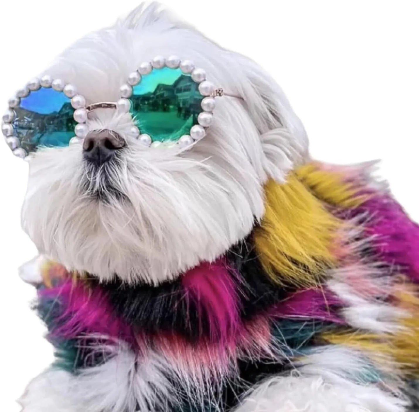 Pearl-rimmed round sunglasses for pets in blue, black, coffee, orange and purple colours