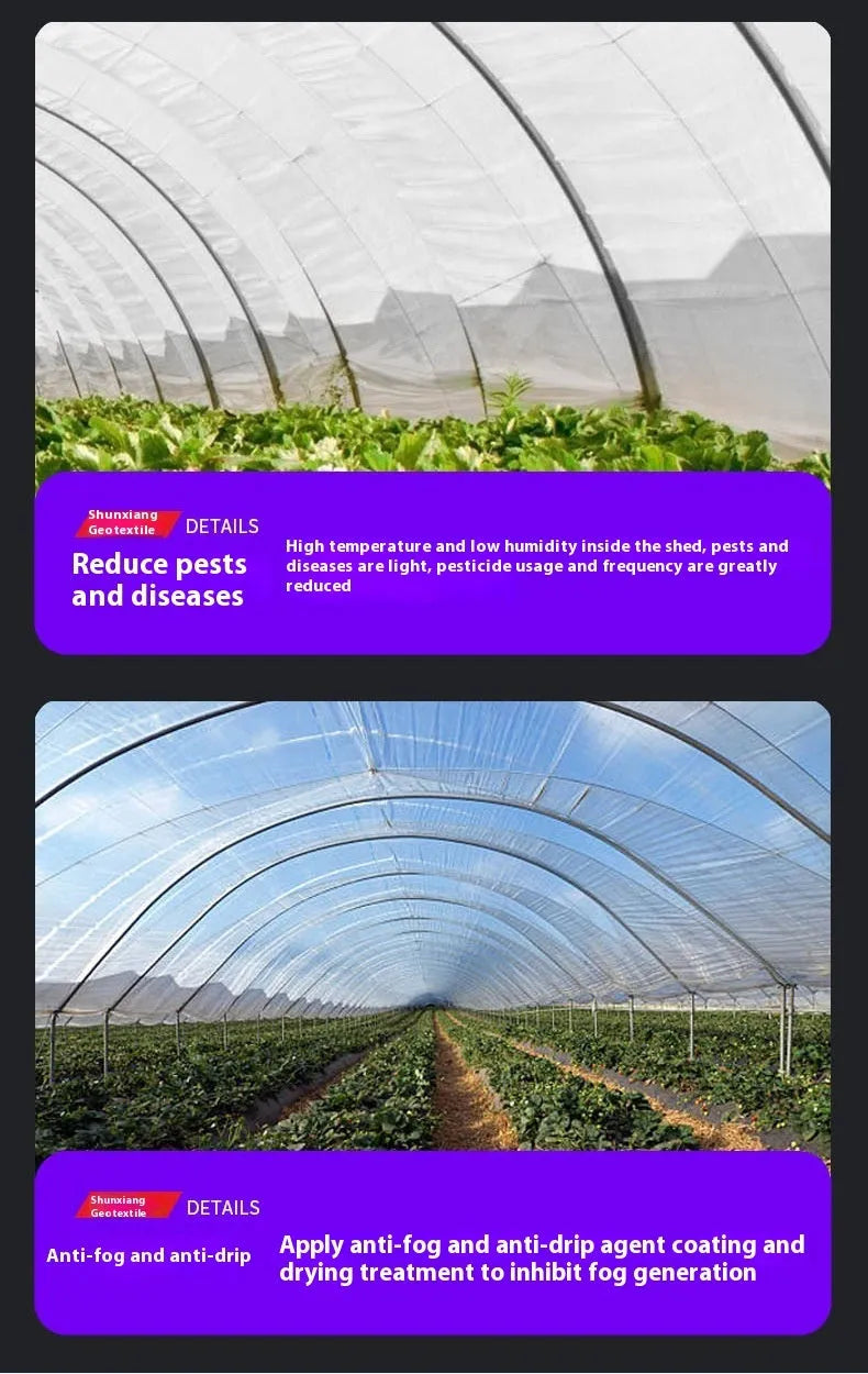 Polyethylene greenhouse film roll for vegetable shed cold protection