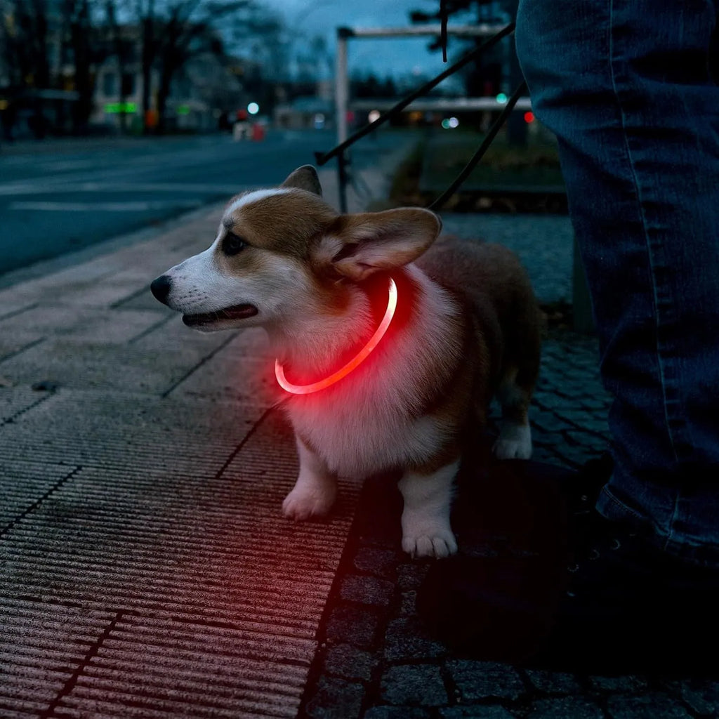 USB rechargeable LED dog collar with glowing light in blue colour, adjustable 70cm length