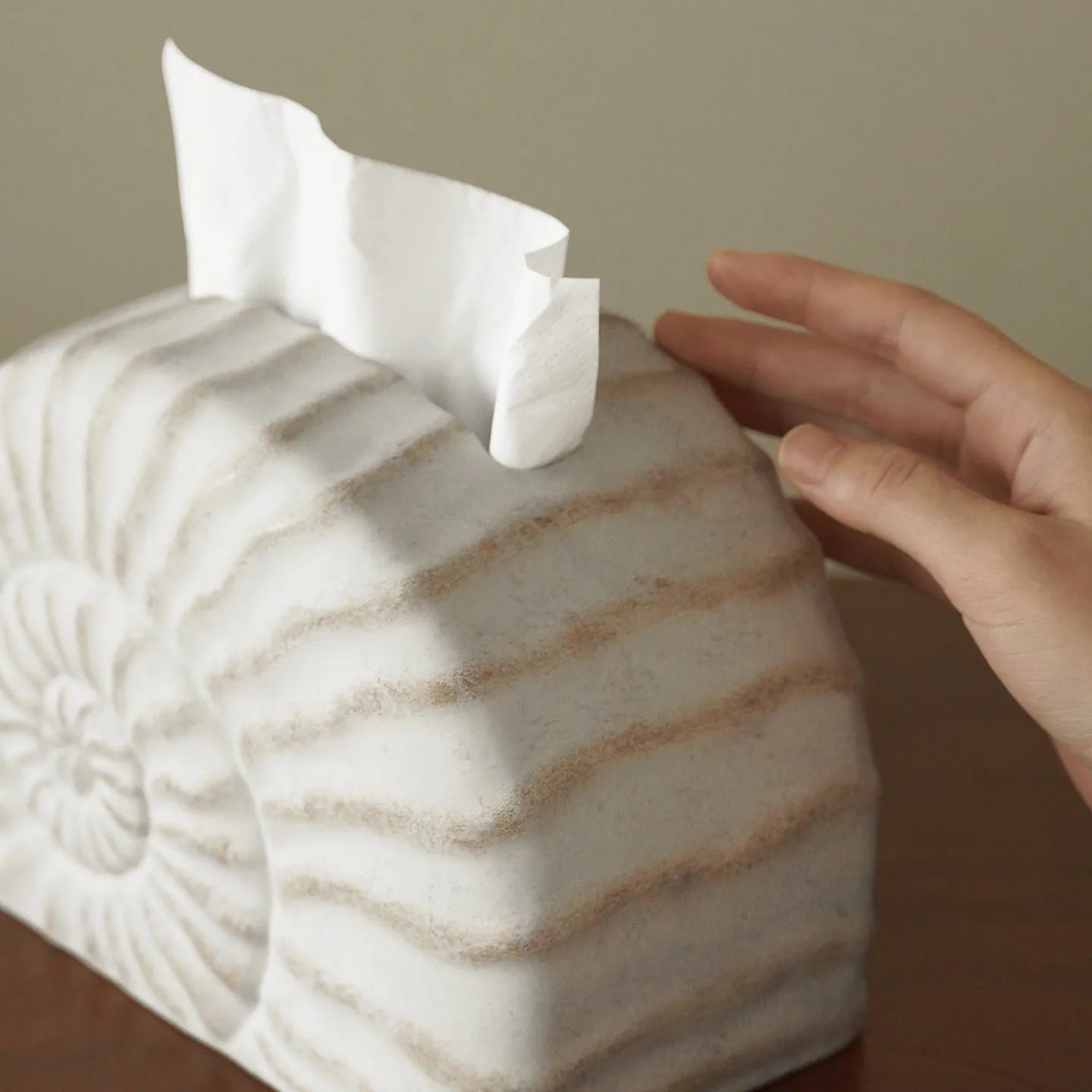 Conch Ramble coloured resin decorative tissue box cover with modern simplicity design