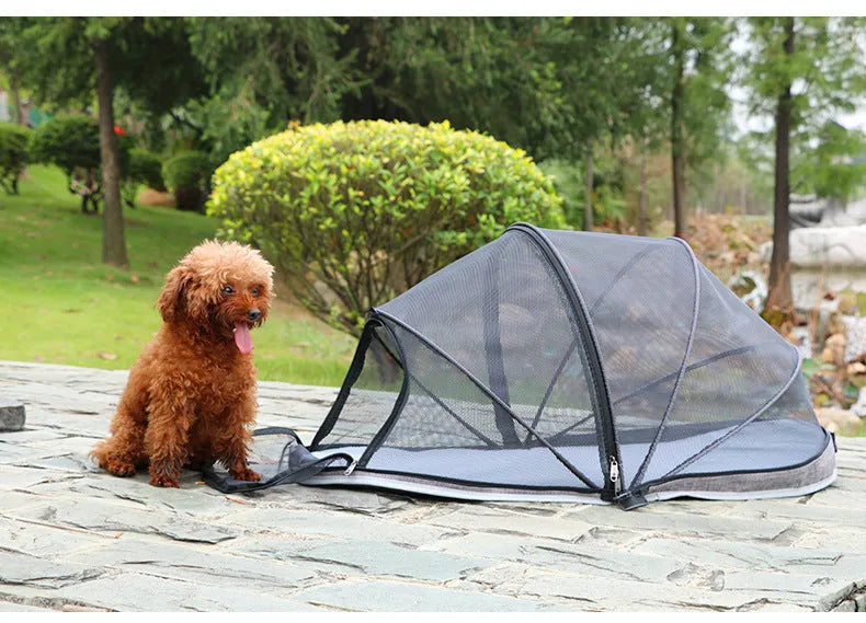 Folding cloth tent for cats with mesh panels in black or blue options