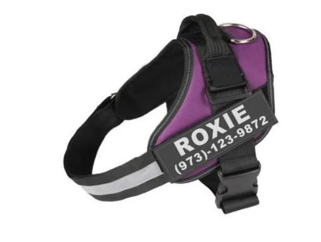 Adjustable no-pull dog harness vest with reflective strips and a chest strap, shown in various colours