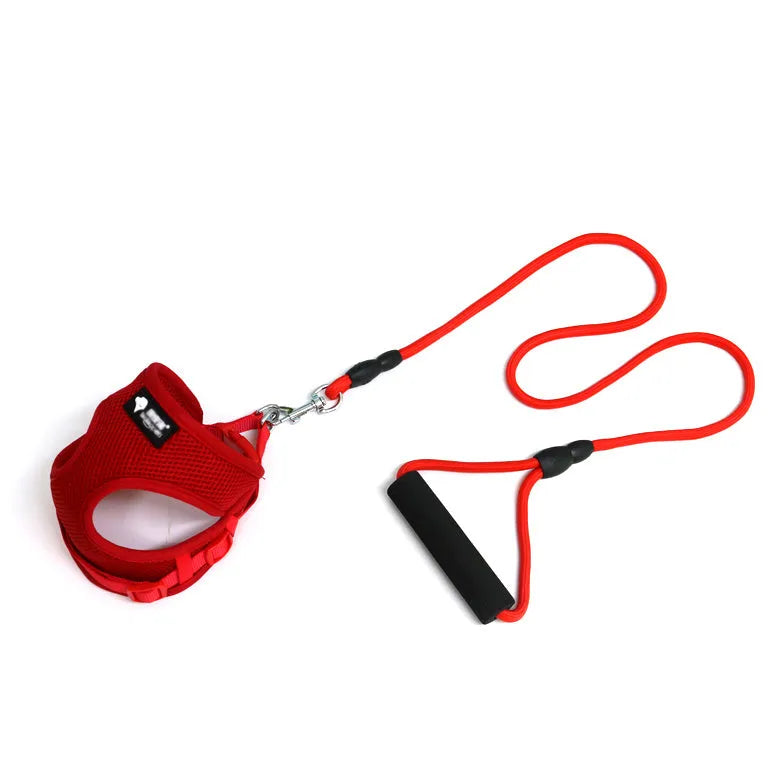 Blue dog leash with a round rope strap and a grey foam handle on a white background.