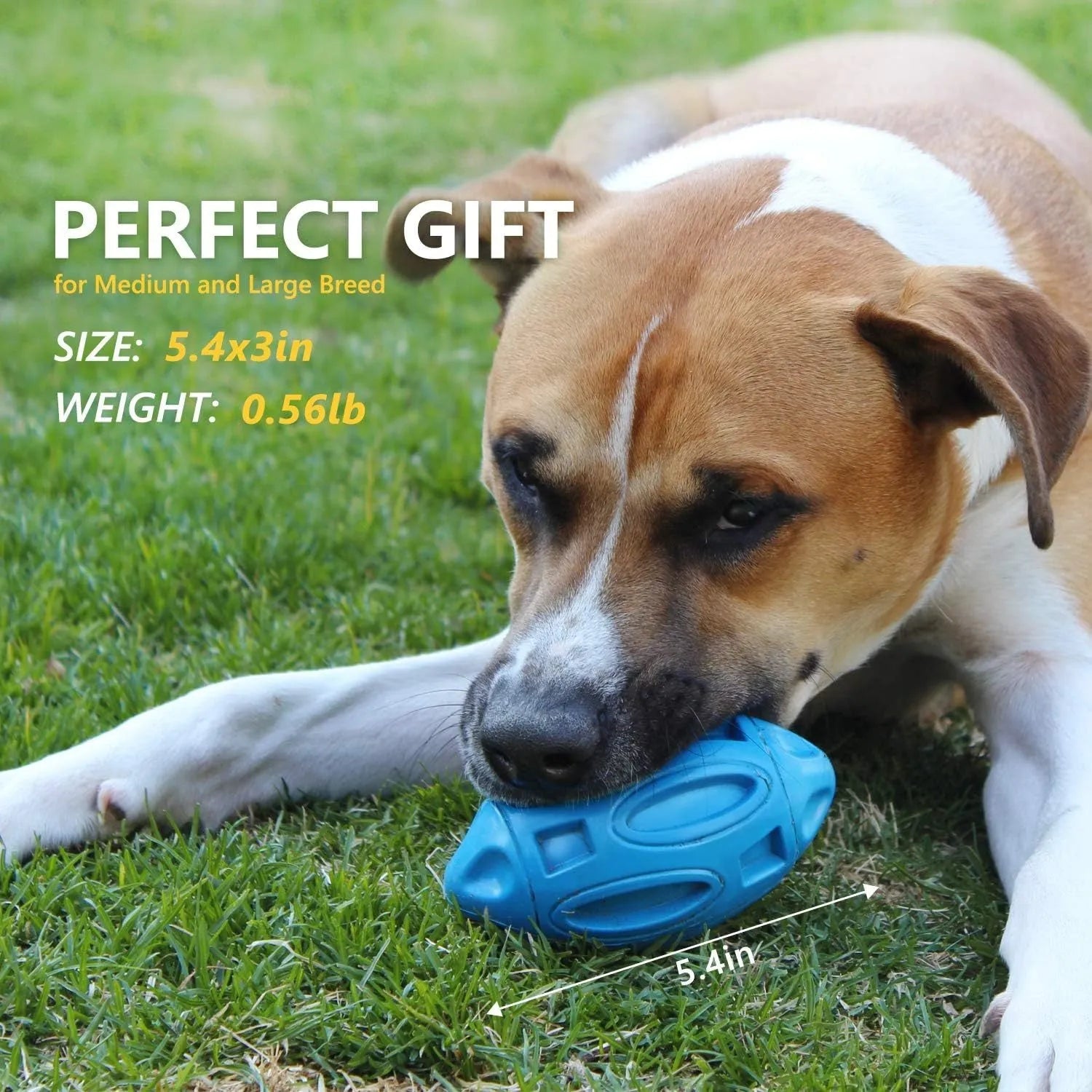 Blue, green, and orange natural rubber squeaky dog chew ball for aggressive chewers.