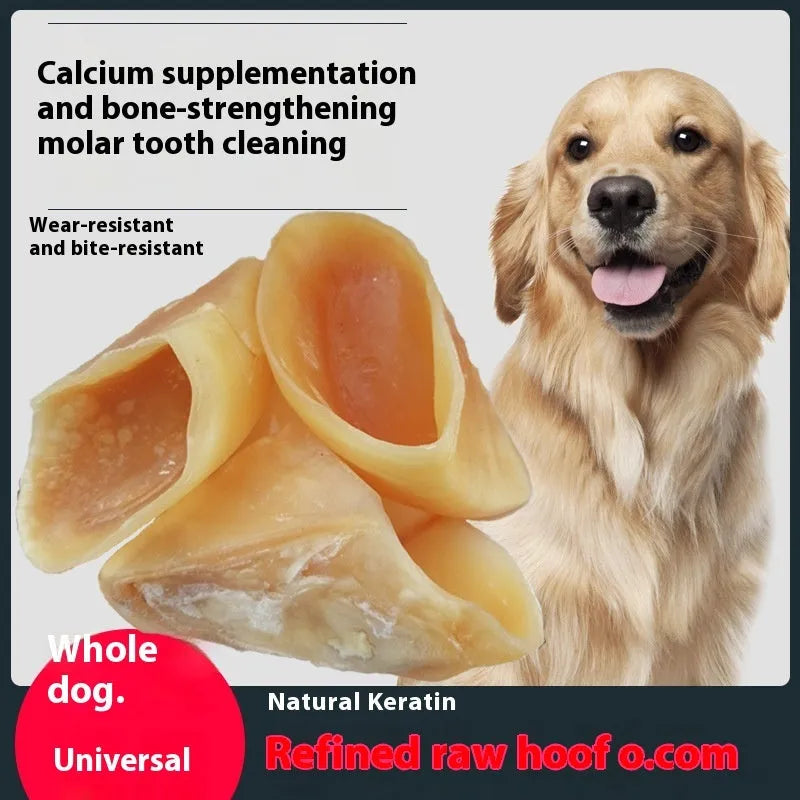 Natural cowhide dog chew treat in cow hoof shell colour showing small and large size options