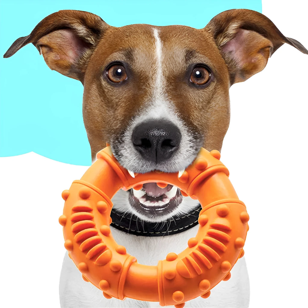 Blue orange red dog fetching stick toy for puppies large dogs lightweight floatable chew toy